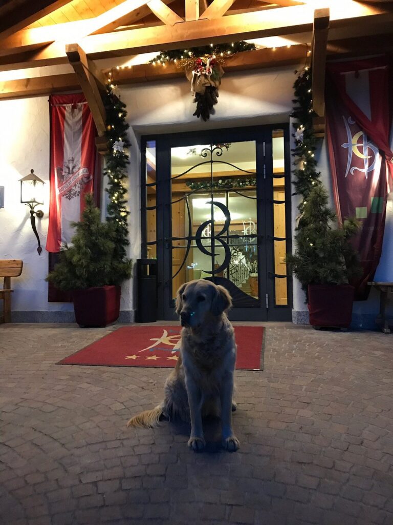 The Entrance at Hotel Campiglio Bellavista in Madonna di Campiglio